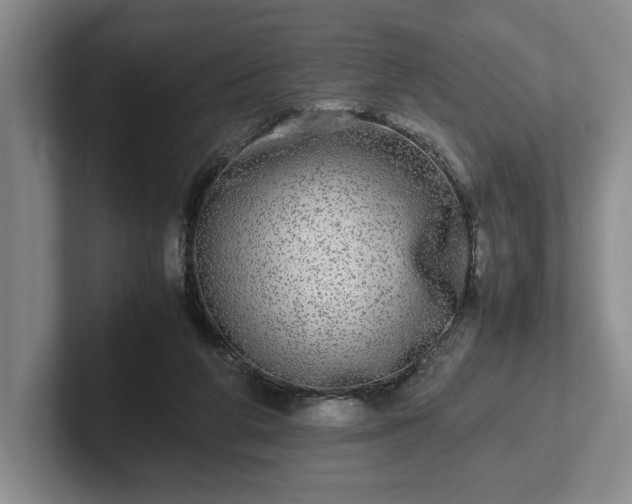 X0000102520210200808151540