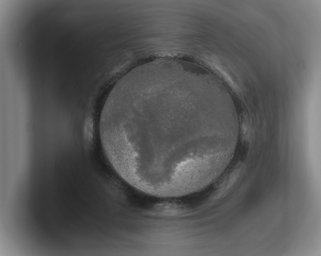 X0000102520211200808151540