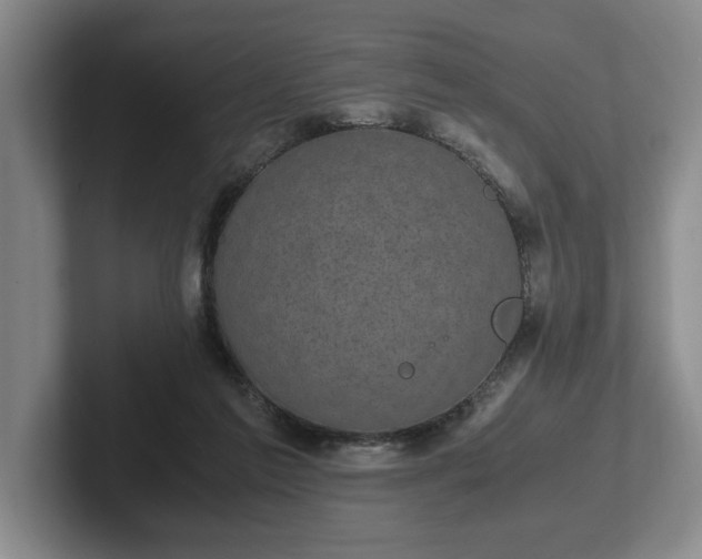 X0000102520213200808151540