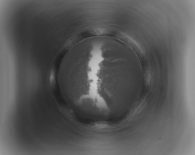 X0000102520214200808151540