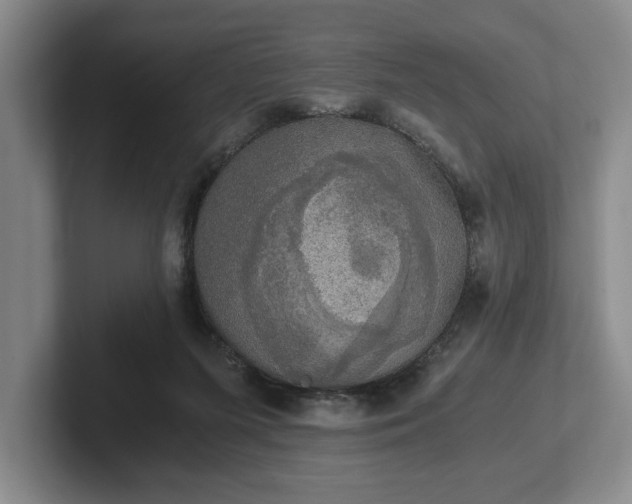 X0000102520215200808151540