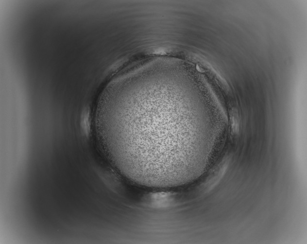 X0000102520216200808151540