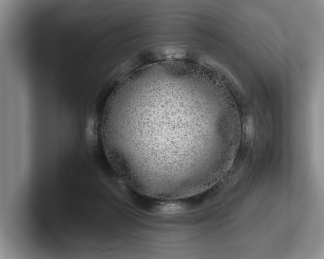 X0000102520218200808151540