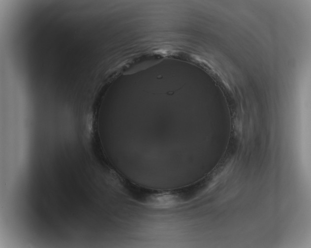 X0000102520219200808151540