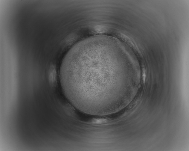 X0000102520220200808151540