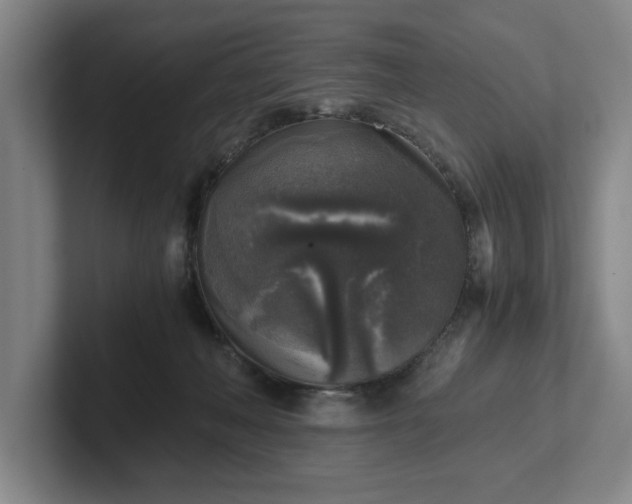 X0000102520222200808151540