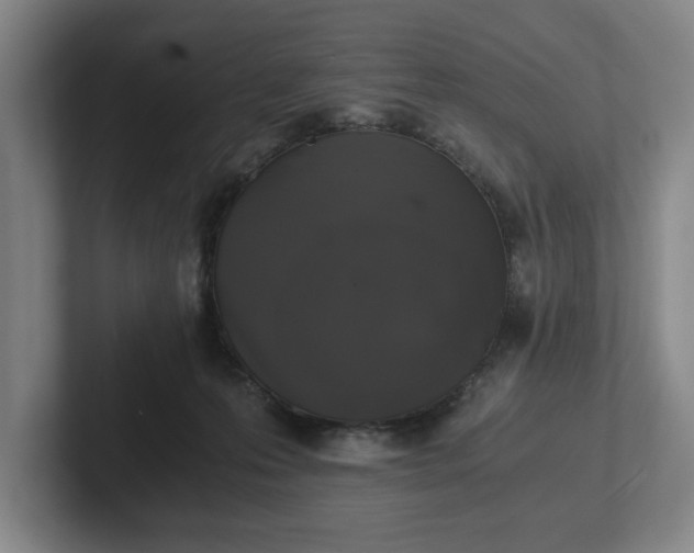 X0000102520223200808151540