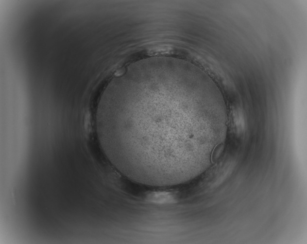 X0000102520224200808151540