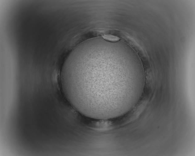 X0000102520225200808151540