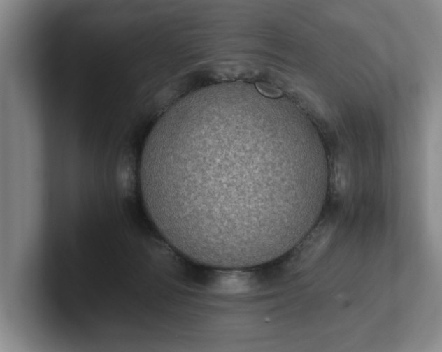 X0000102520226200808151540