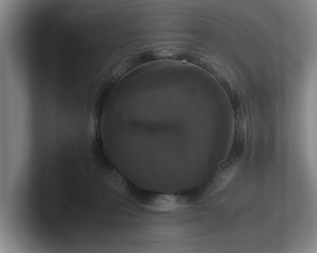 X0000102520227200808151540