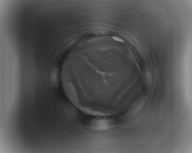 X0000102520228200808151540