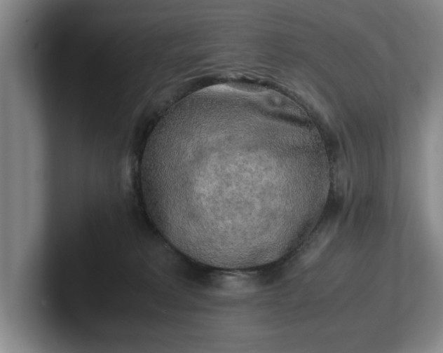 X0000102520229200808151540