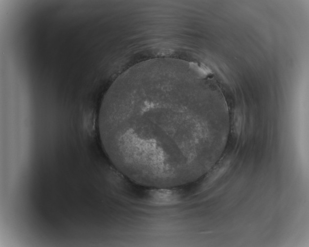 X0000102520230200808151540