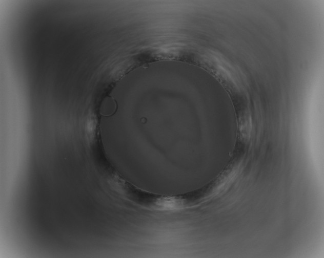 X0000102520231200808151540