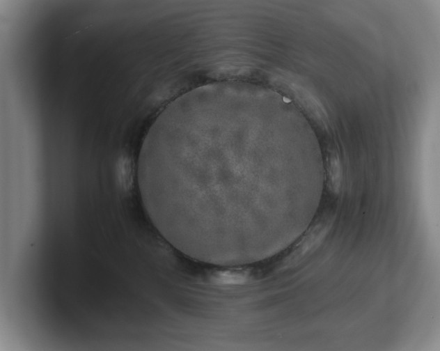 X0000102520232200808151540