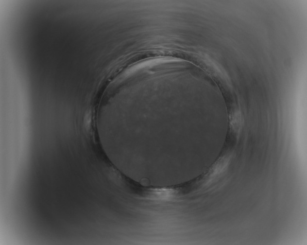 X0000102520233200808151540