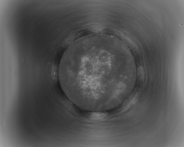 X0000102520234200808151540