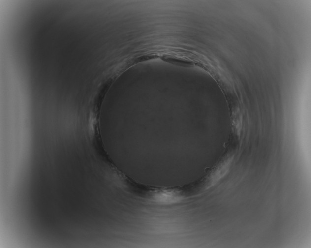 X0000102520235200808151540