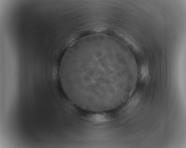 X0000102520236200808151540