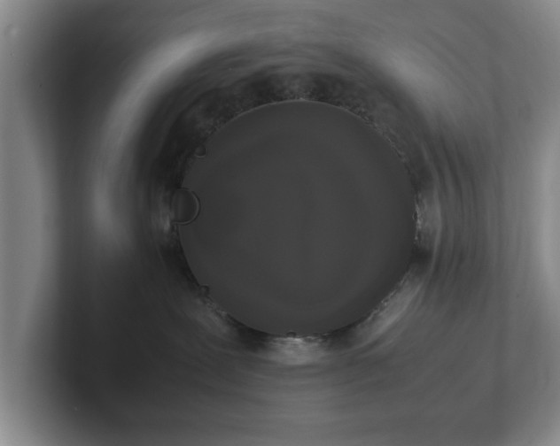 X0000102520239200808151540