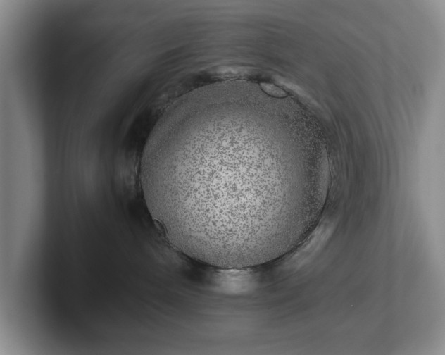 X0000102520240200808151540