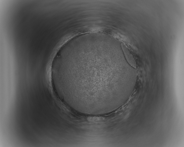 X0000102520242200808151539