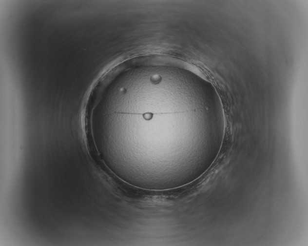 X0000102520244200808151539