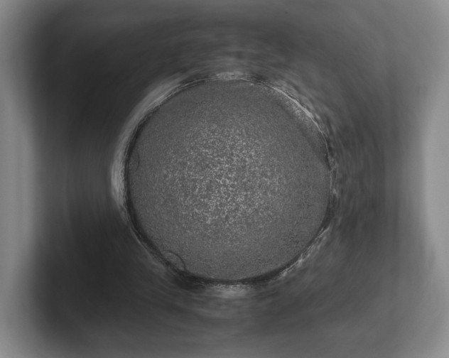 X0000102520245200808151539