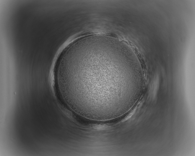 X0000102520246200808151539