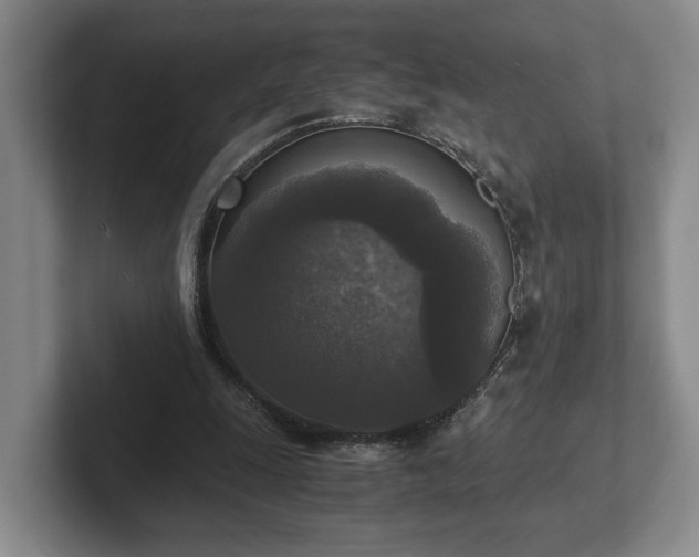 X0000102520247200808151539