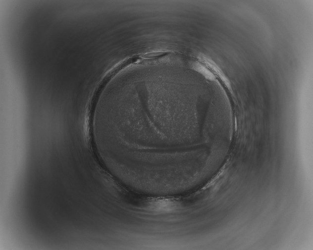 X0000102520249200808151539