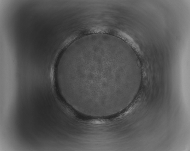 X0000102520250200808151539