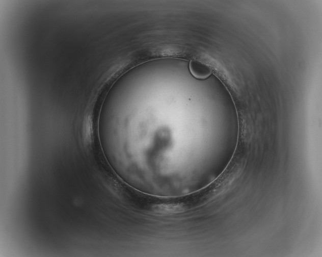 X0000102520251200808151539