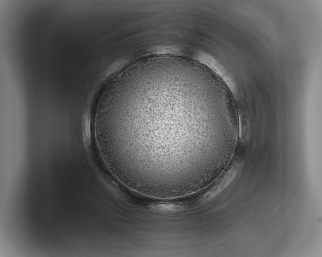 X0000102520253200808151539