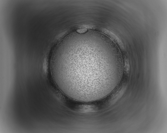 X0000102520255200808151539