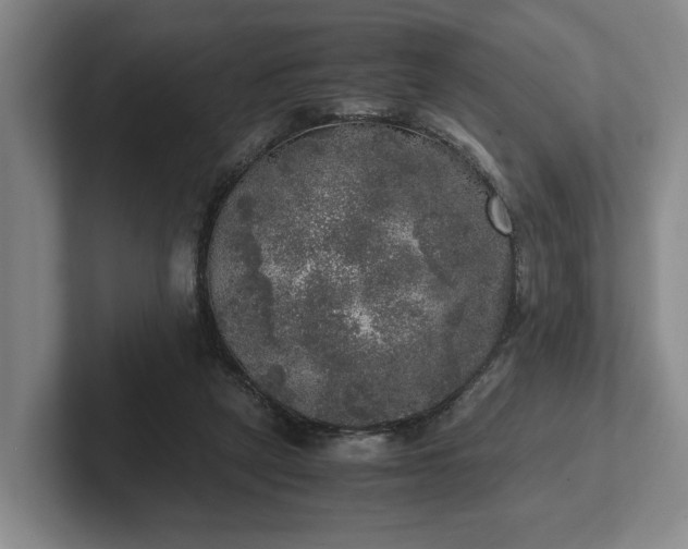 X0000102520257200808151539