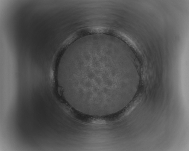 X0000102520258200808151539