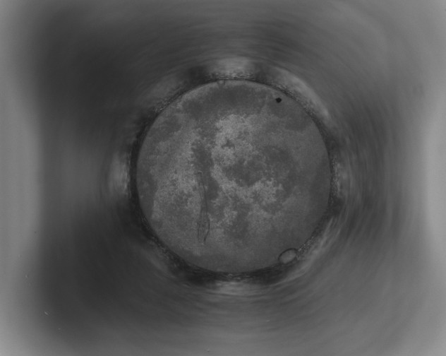 X0000102520259200808151539