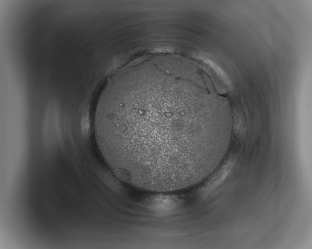 X0000102520261200808151539