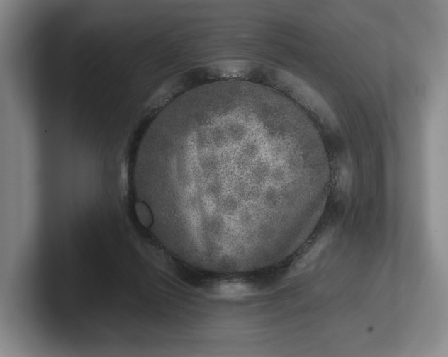 X0000102520262200808151539