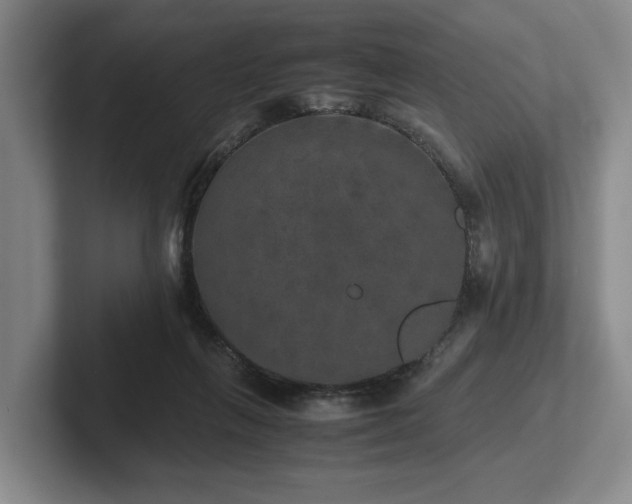 X0000102520263200808151539