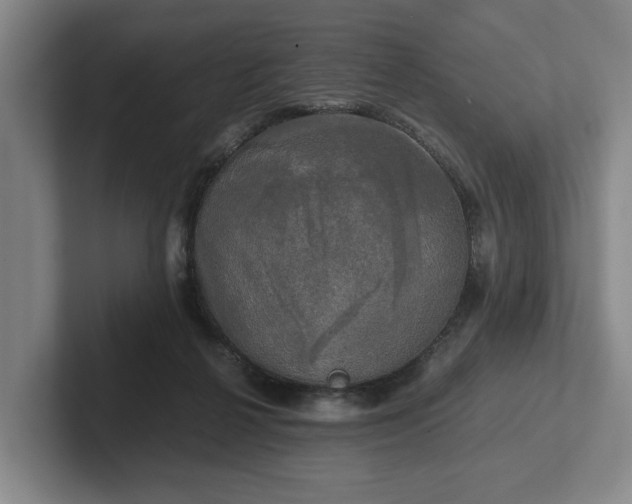 X0000102520264200808151539