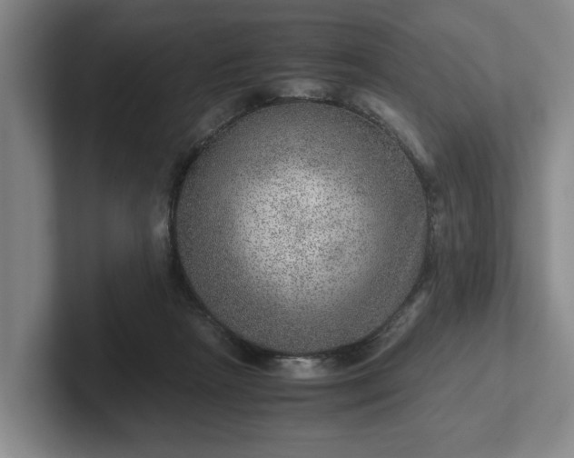 X0000102520265200808151539