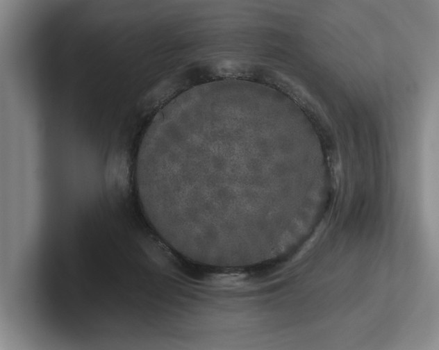 X0000102520266200808151539