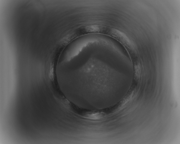 X0000102520267200808151539