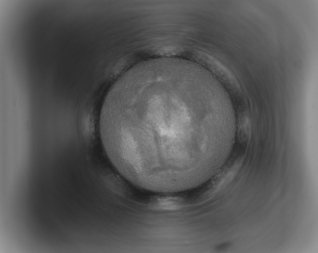 X0000102520268200808151539