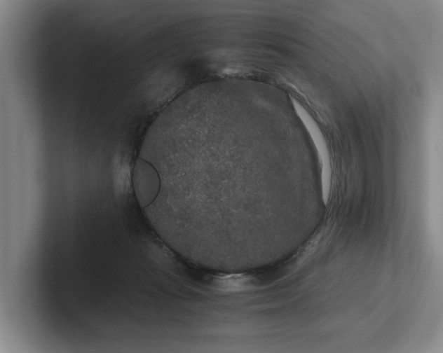 X0000102520269200808151539