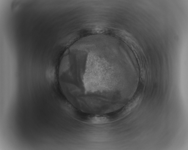 X0000102520270200808151539