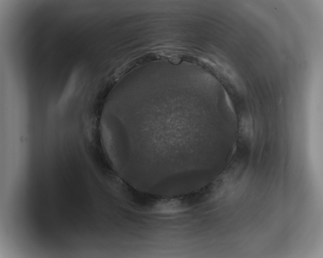 X0000102520271200808151539